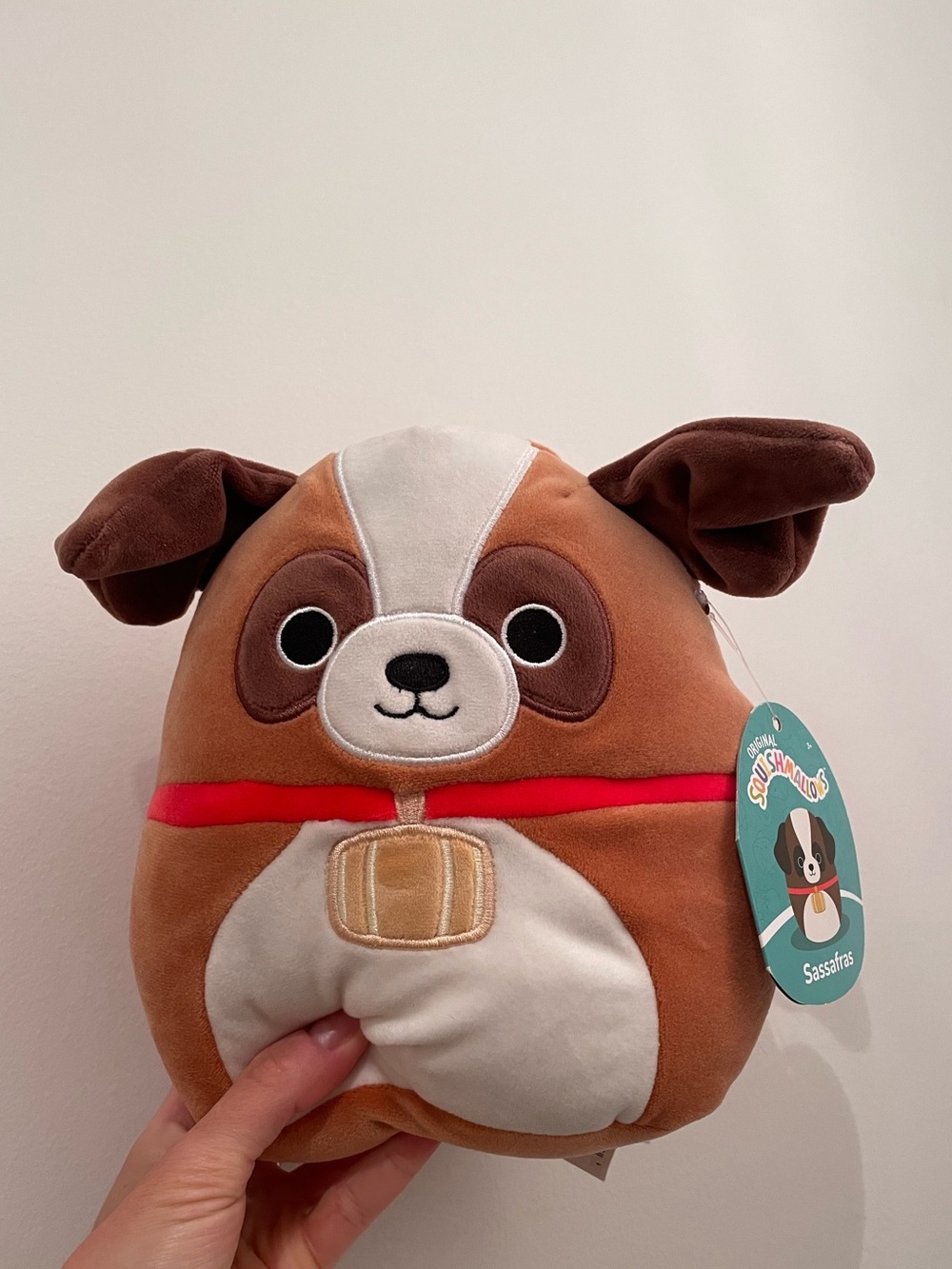 NWT Squishmallow Sassafrans st bernard dog